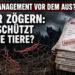 Wolfsentnahme Sachsen-Anhalt: Warum Abschussgenehmigungen im Raum Wittenberg wirkungslos bleiben 1 Ein zerrissener Weidezaun und eine behördliche Abschussgenehmigung symbolisieren die schwierige Wolfsentnahme Sachsen-Anhalt.