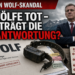 Wolfsmanagement Kärnten: Kritik an Abschüssen von Jungtieren und Forderung nach systematischem Herdenschutz 2 Ein GPS-Senderhalsband auf einer Akte zum Wolfsmanagement Kärnten vor einem Politiker im Hintergrund.