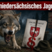 niedersächsisches Jagdgesetz: Ein Wolf im dunklen Wald als Symbol für die kontroversen Debatten um das neue niedersächsische Jagdgesetz.
