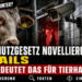 Tierschutzgesetz Novellierung: THKG-Reform und verpflichtende Videoüberwachung in Schlachthöfen 5 Dramatische Darstellung der Tierschutzgesetz Novellierung mit Fokus auf Videoüberwachung in Schlachthöfen