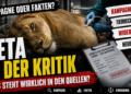 Künstliche Befruchtung Löwin im Zoo Wuppertal: Medizinischer Eingriff, Einordnung und offene Fragen 45 künstliche Befruchtung Löwin: Kritische Analyse zur künstlichen Befruchtung Löwin im Zoo Wuppertal als journalistisches Dokumentations-Cover.