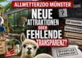 Ein investigatives Bild zum Allwetterzoo Münster Sommerferien mit Spielplatz, Tiernachwuchs und Akten zur Transparenzprüfung.