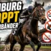 Hamburg verbietet Zungenbänder auf Rennbahn – PETA vermarktet Behördenentscheidung als eigenen Erfolg 8 Hamburg Verbot Zungenbänder auf der Rennbahn Horn mit Rennpferd, Verbotssymbolen und behördlichem Stoppsignal.