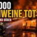 Großbrand Schweinemastanlage Düben: Brennender Schweinestall bei Nacht, Feuerwehrleute löschen das Feuer, während Schweine im Stall zu sehen sind.