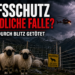 Blitzschlag tötet 97 Schwarznasenschafe auf Alp Eggerhorn — Herdenschutzpraxis in der Kritik 2 Schwarznasenschafe Wallis Blitzschlag: Ein dramatischer Blitzschlag über einem Nachtpferch mit Schwarznasenschafen im Wallis nach dem Unglück auf der Alp Eggerhorn.
