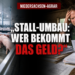 Niedersachsen erhöht Stallbauförderung um 20,7 Mio. Euro – viele Schweinehalter wohl außen vor 1 Ein Landwirt betrachtet skeptisch die komplexen Unterlagen zur Stallbauförderung Niedersachsen in einem traditionellen Stall.