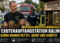 Exotenauffangstation Balingen: Björn Gruner hilft Polizei und Feuerwehr 43 Björn Gruner hält eine Schlange vor Polizei und Feuerwehr an der Exotenauffangstation Balingen, umgeben von weiteren exotischen Tieren.