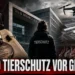 Soko Tierschutz OLG München: Titelbild mit Gericht, Drohne, Kaninchenanlage und Symbolen für den Rechtsstreit.