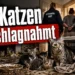 Veterinäramt beschlagnahmt 22 Katzen aus einer verwahrlosten Wohnung, während Polizei und Behörden die Tiere sichern.