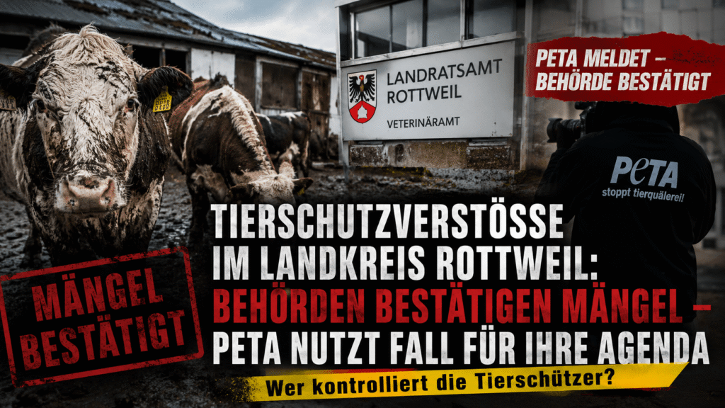 Tierschutzverstöße Landkreis Rottweil: Rinder vor einem maroden Stall, während Behörden Mängel bestätigen und die Rolle von PETA kritisch eingeordnet wird.