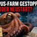 Nueva Pescanova zieht Pläne für Oktopus-Farm auf Gran Canaria zurück 10 Ein Oktopus in einem industriellen Becken vor Dokumenten zur Oktopus-Farm Gran Canaria.