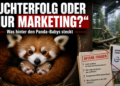 Muttertier mit Nachwuchs in der Wurfhöhle als Rote Pandas Tiergarten Kleve