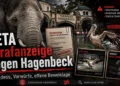Titelbild zur PETA Strafanzeige gegen Hagenbeck mit Elefant, Pelikanen, Zooeingang und Hinweisen auf offene Beweislage und Vorwürfe.