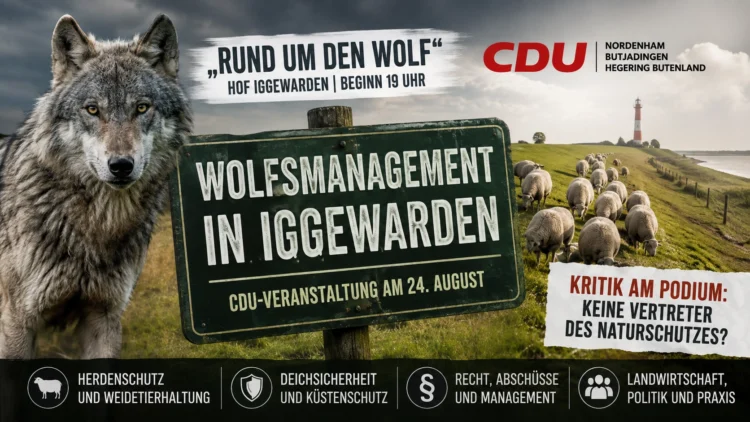 Wolfsmanagement in Iggewarden mit Wolf, Schafherde, Deichlandschaft und Hinweis auf die CDU-Veranstaltung „Rund um den Wolf“.