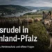Sechstes Wolfsrudel in Rheinland-Pfalz bestätigt: Nutztierschäden steigen, Behörden lassen wichtige Fragen offen 7 Wolfsrudel in Rheinland-Pfalz vor einer eingezäunten Schafweide mit Tierhalter im Rhein-Lahn-Gebiet.