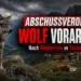 Abschussverordnung Wolf Vorarlberg nach einem Rinderriss in Tschagguns: Wolf und Rinder auf einer dramatischen Hochalpe.