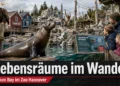 „Lebensräume im Wandel“: Zoo Hannover stärkt Umweltbildung in Yukon Bay 45 Lebensräume im Wandel in Yukon Bay: Titelbild zum Artikel über die neue Bildungspräsentation im Zoo Hannover mit Seelöwe, Weißkopfseeadler, Gibbons und Besucherfamilie.