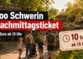 Zoo Schwerin Nachmittagsticket für 10 Euro ab 15 Uhr mit Zoobesuchern und Asiatischem Löwen im Abendlicht.