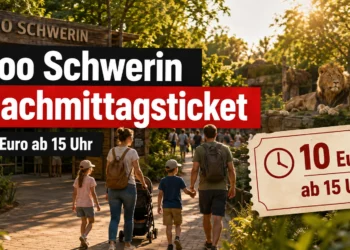 Zoo Schwerin führt Sommer-Nachmittagsticket ein: Attraktives Angebot für spontane Zoobesuche 14 Zoo Schwerin Nachmittagsticket für 10 Euro ab 15 Uhr mit Zoobesuchern und Asiatischem Löwen im Abendlicht.