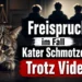 Freispruch im Fall Kater Schmotzer: Trauriger Kater vor Gerichtssymbolen, vier Silhouetten und Richterhammer.