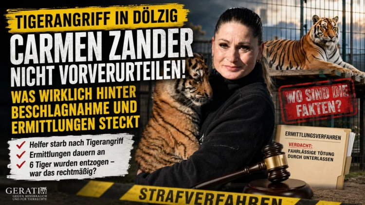 Carmen Zander Tigerangriff in Dölzig: Warum sie nicht vorschnell verurteilt werden darf 33 Carmen Zander Tigerangriff in Dölzig: Titelbild mit Carmen Zander, Tigern, Ermittlungsakten und Hinweis auf die umstrittene Beschlagnahmung.