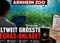 Ein Forscher beobachtet das neue Seegras-Aquarium im Burgers’ Zoo Arnheim mit wissenschaftlichen Daten auf einem Tablet.