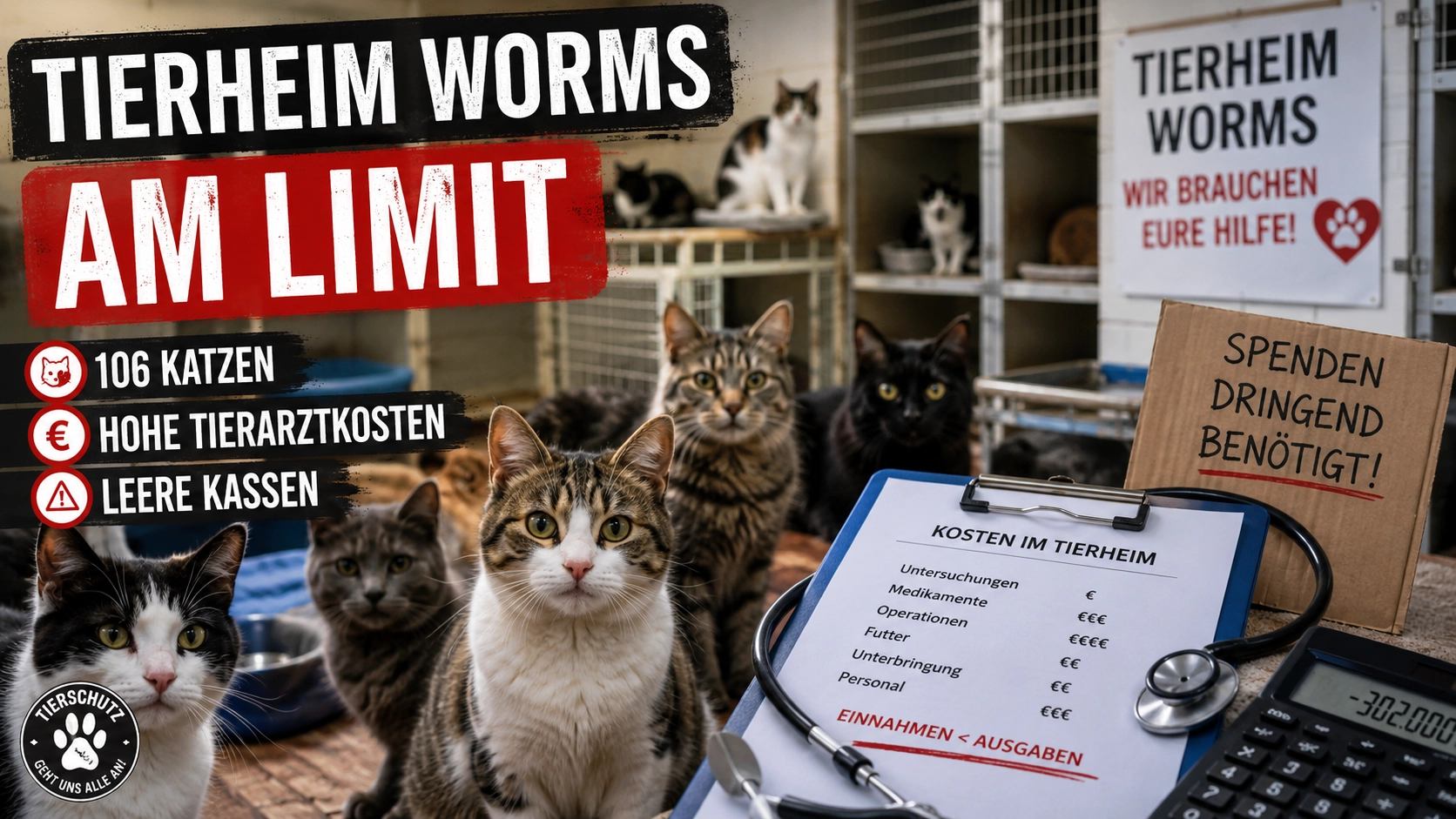 Tierheim Worms am Limit mit zahlreichen Katzen, hohen Tierarztkosten und angespannten Finanzen.