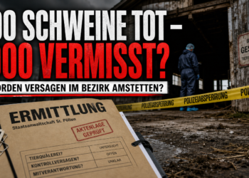 Polizeiliche Absperrung und Ermittlungsunterlagen vor einem Schweinemastbetrieb im Fall der tote Schweine Amstetten.