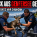 Rehbock schwimmt 500 Meter in den Genfersee – Seepolizei rettet erschöpftes Tier 10 Polizeibeamte bei der Rettung, als ein Rehbock im Genfersee gerettet wird.