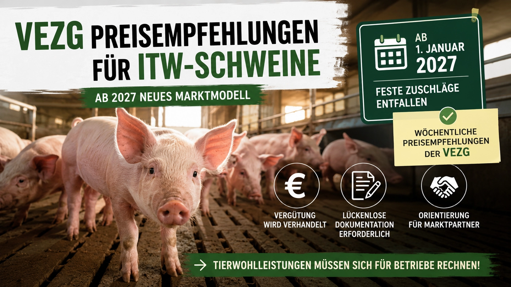 VEZG Preisempfehlungen für ITW-Schweine ab 2027: Titelbild mit Schweinen im Stall und Hinweisen zum neuen Marktmodell.