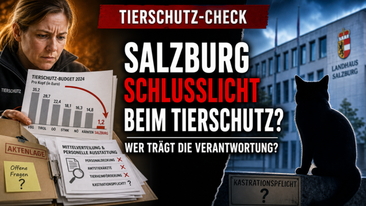Salzburg beim Tierschutzbudget Schlusslicht: Kritik an Kontrolle und Ausstattung 34 Ein Tierschutzexperte analysiert Dokumente zum Tierschutzbudget Salzburg im Vergleich zu anderen Bundesländern.
