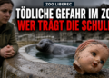 Mähnenrobbe Hugo Zoo Liberec: Ein am Beckenrand liegender Puppenkopf als Ursache für den Tod der Mähnenrobbe Hugo im Zoo Liberec.