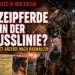 PETA Polizeipferde Mannheim – Polizeipferd und Reiterstaffel bei Ausschreitungen nach dem Waldhof-FCK-Derby.