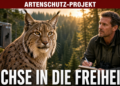 Karlsruher Zoodirektor Matthias Reinschmidt präsentiert neue VOX-Serie zum Artenschutz 43 Matthias Reinschmidt bei der Beobachtung eines Luchses für die neue Matthias Reinschmidt VOX-Serie über Artenschutzprojekte.