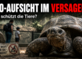Eine Riesenschildkröte im chinesischen Zoo, während im Hintergrund Besucher zu sehen sind, die den Sicherheitsabstand missachten.
