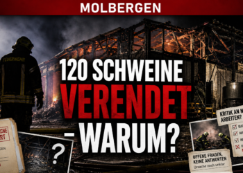 Einsatzkräfte vor der Ruine nach dem tragischen Stallbrand in Molbergen bei Nacht