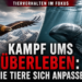 Ein Steinadler über den Alpen und ein Schweinswal in einem Stellnetz als Symbol für Tierverhalten und Artenschutzforschung.