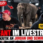 Elefant im Livestream mit Jordan und Semih sowie Malte Zierden – Kritik an der umstrittenen Streaming-Aktion mit einem Elefanten.