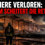 Einsatzkräfte vor den rauchenden Trümmern nach dem verheerenden Stallbrand in Palézieux.