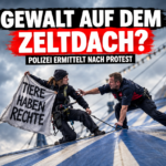 Eine dramatische Kletteraktion Circus Krone Hamburg auf dem Heiligengeistfeld mit Zirkusmitarbeitern und Aktivisten.