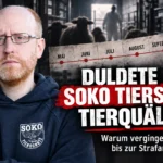 Tierschutzvorwürfe gegen Schlachtbetrieb: Kritisches Titelbild mit Friedrich Mülln, Zeitleiste von Mai bis September und der Frage nach verspäteter Strafanzeige.