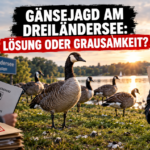 Kontroverse um die PETA Kritik an geplanter Wildgänse-Bejagung am Dreiländersee in Gronau