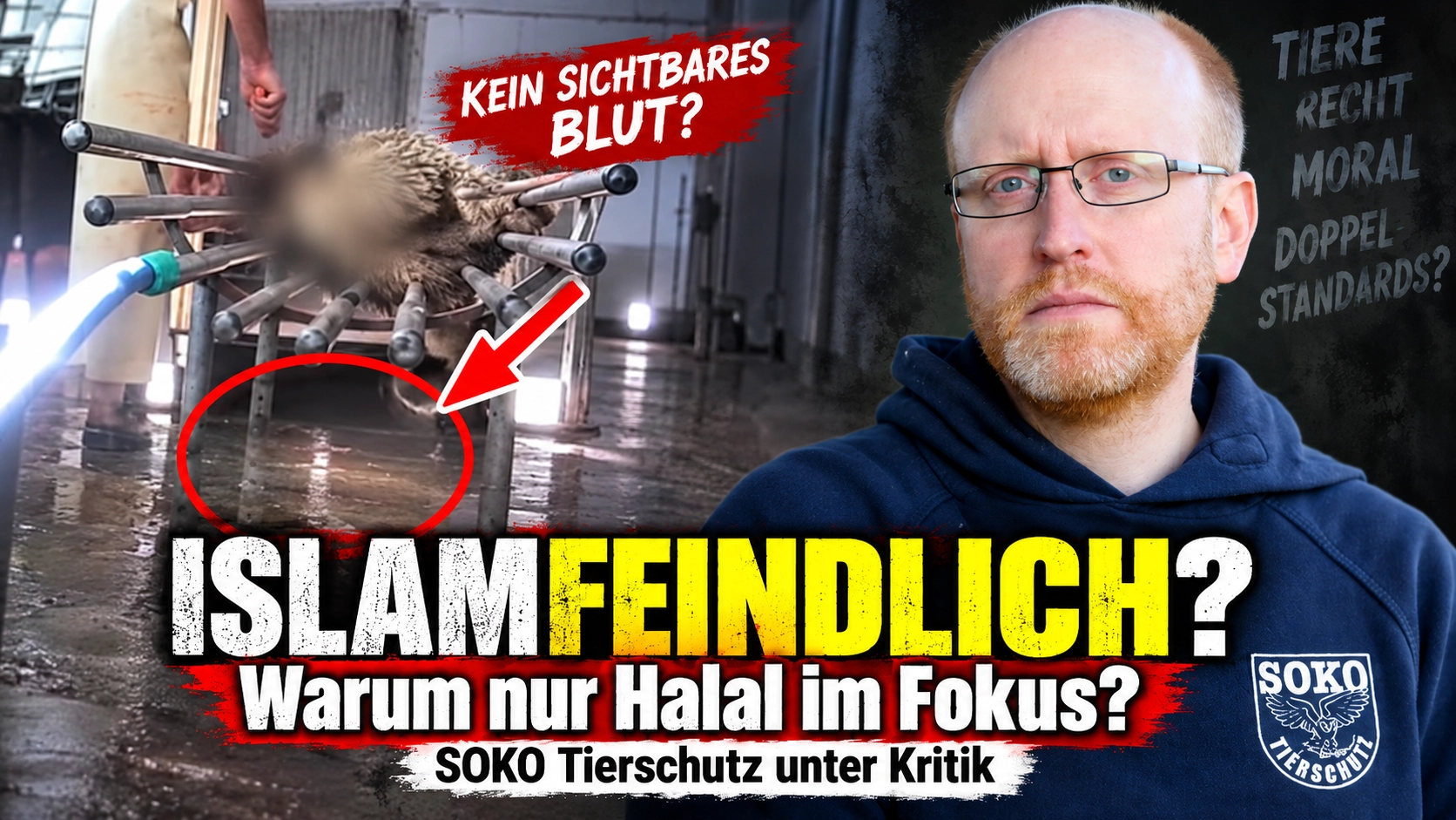 SOKO Tierschutz islamfeindlich? Warum beim Schächten nur der Islam im Fokus steht