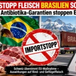 Importstopp Fleisch Brasilien Schweiz: Rindfleisch und Geflügel vor brasilianischer Flagge, Schweizer Zollkontrolle und großem Importstopp-Schild.