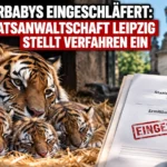 Tigerbabys eingeschläfert: Amurtigerin mit drei Jungtieren vor dem Zoo Leipzig und symbolischer Ermittlungsakte der Staatsanwaltschaft.