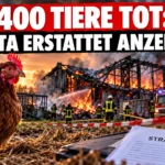 Brand bei Grosselfingen: Huhn vor einer brennenden Stallanlage mit Feuerwehr, PETA-Symbol und Strafanzeige.