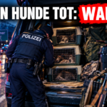Polizeikontrolle an der Raststätte Trens-Ost nach dem Fund von sieben tote Hunde auf Brennerautobahn A22.