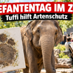 Ein Zoopädagoge präsentiert beim Elefantentag im Wuppertaler Zoo eine Leinwand mit dem Fußabdruck der Elefantenkuh Tuffi.