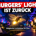 Ein leuchtendes Glühwürmchen führt Besucher durch die magische Lichtshow Burgers’ Light im Burgers’ Zoo.