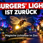 Burgers’ Light im Burgers’ Zoo: Ein leuchtendes Glühwürmchen fliegt durch eine farbenprächtig illuminierte nächtliche Zoolandschaft.